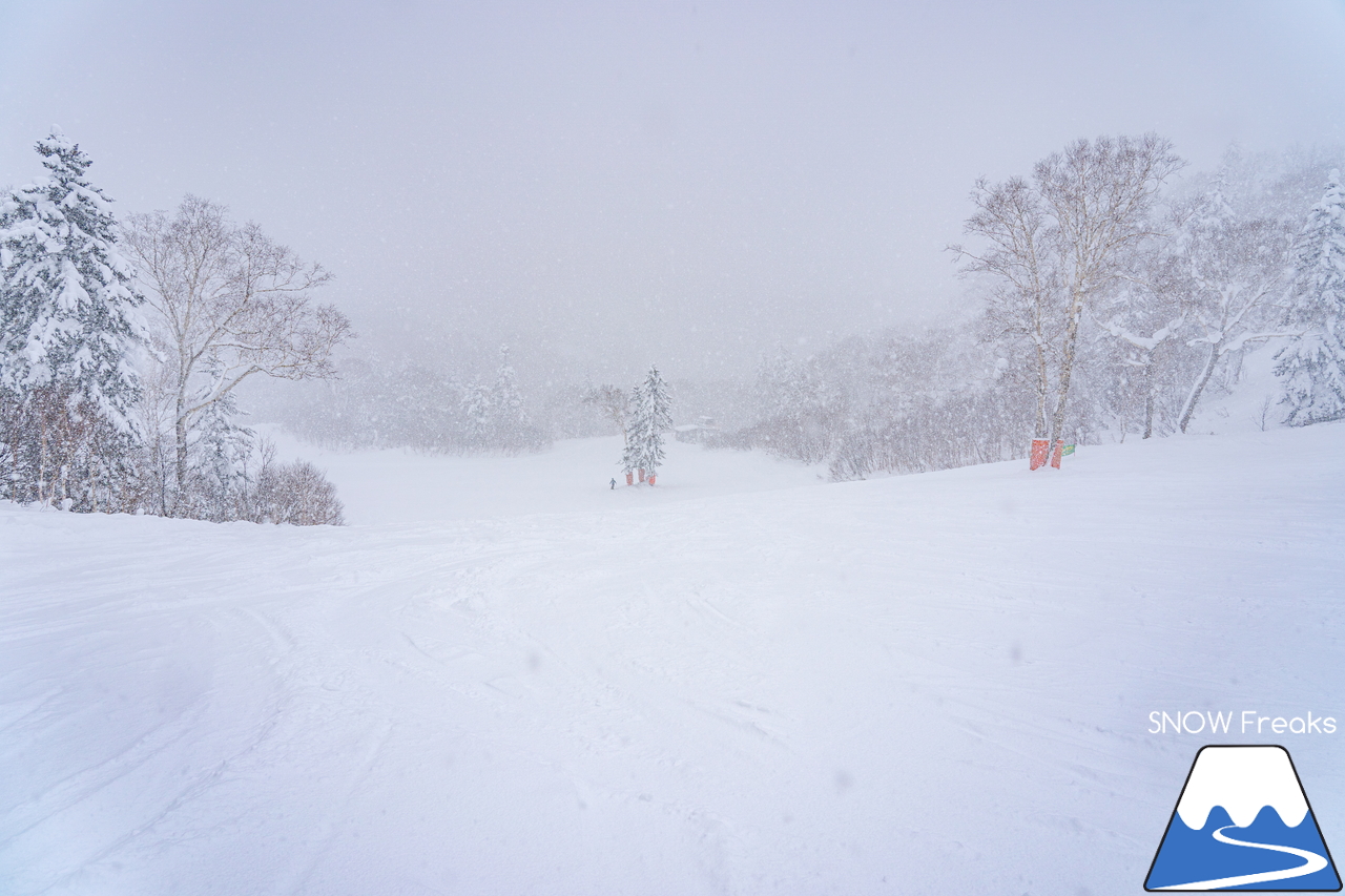 キロロリゾート｜ただいま北海道内最深の積雪160cm。午後のゲレンデで快適粉雪クルージング！